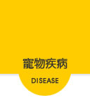 寵物站寵物相關疾病頁面連結按鈕