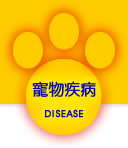 寵物站寵物相關疾病頁面連結按鈕