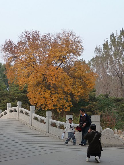 中國 北京 圓明園 橋與黃葉
