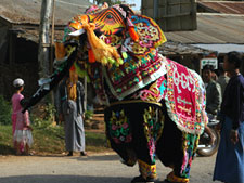 dancing elephant festival photo 2