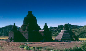 mrauku photo 2